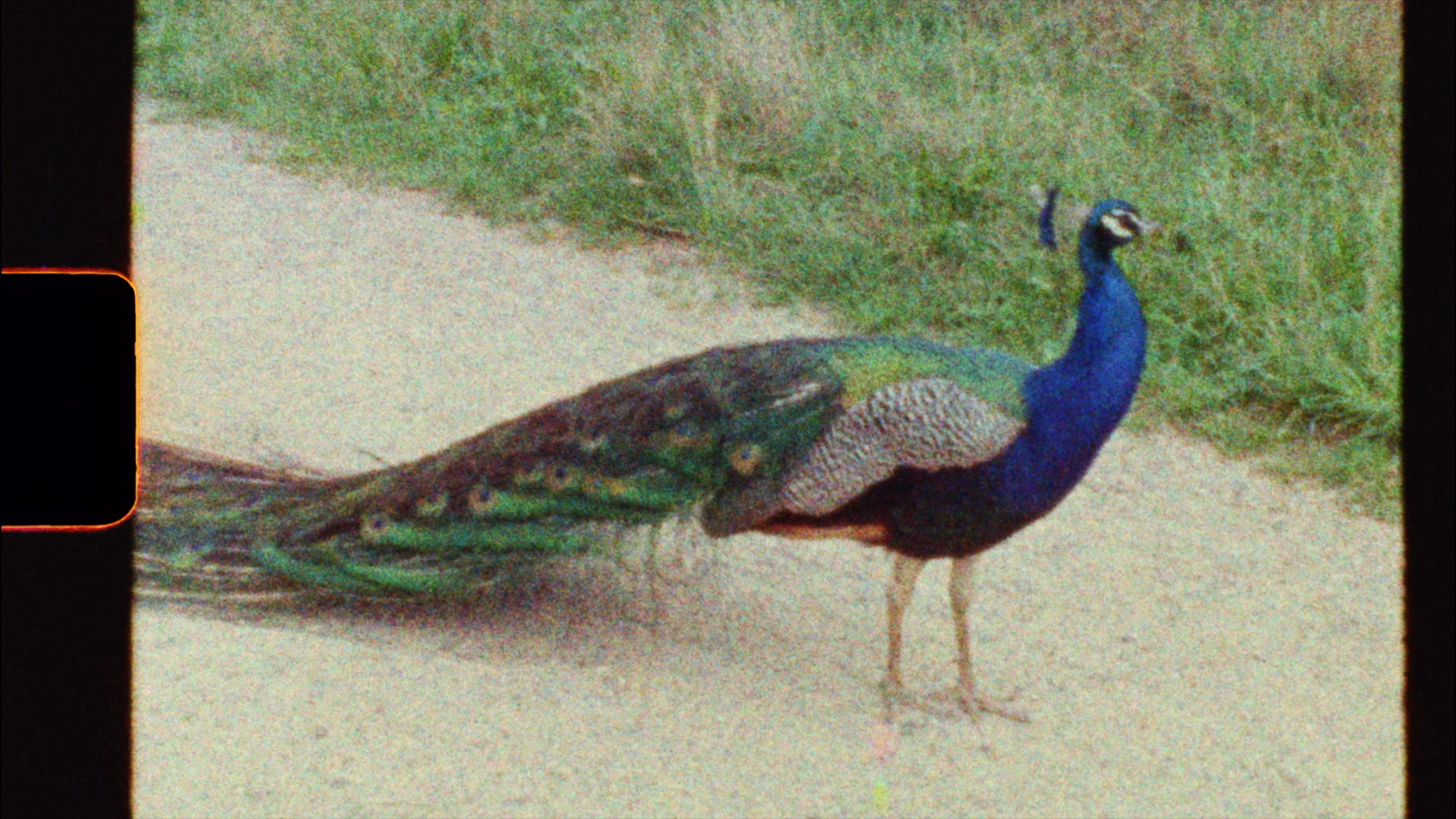 Ein neuer Super-8-Film aus deutscher Fertigung