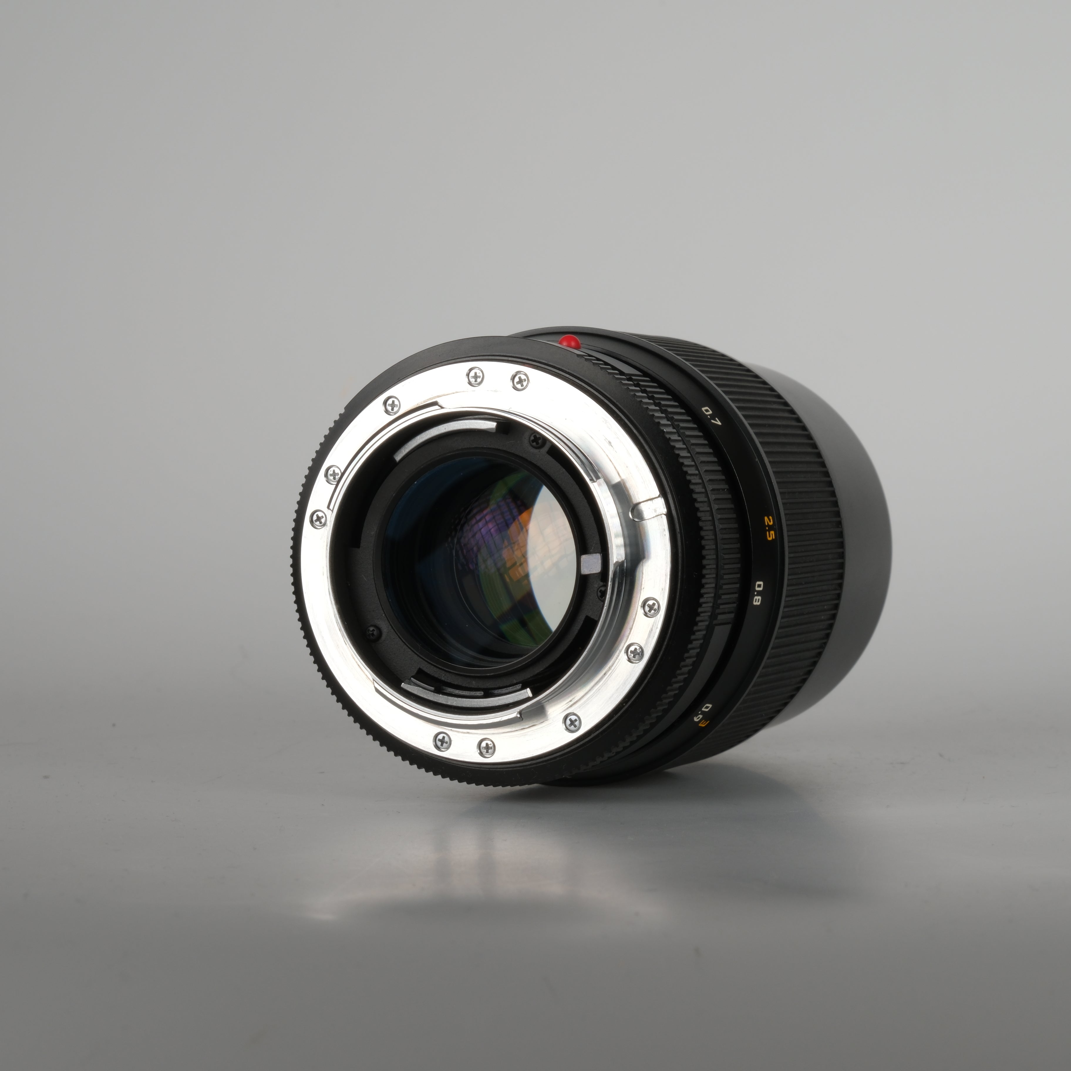 Leica Apo-Macro-Elmarit-R 2.8/100mm