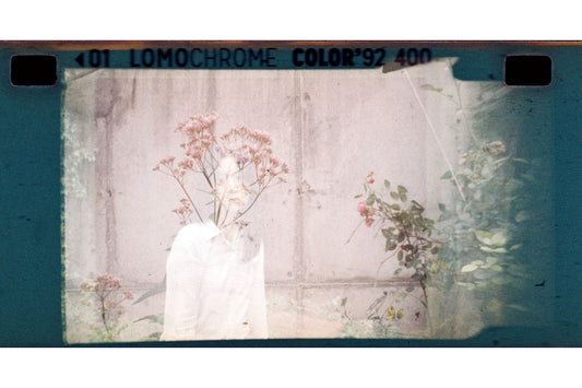 LomoChrome Color '92 Sun-kissed 110 ISO 400