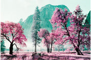 Lomochrome Purple